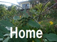 home_home.jpg